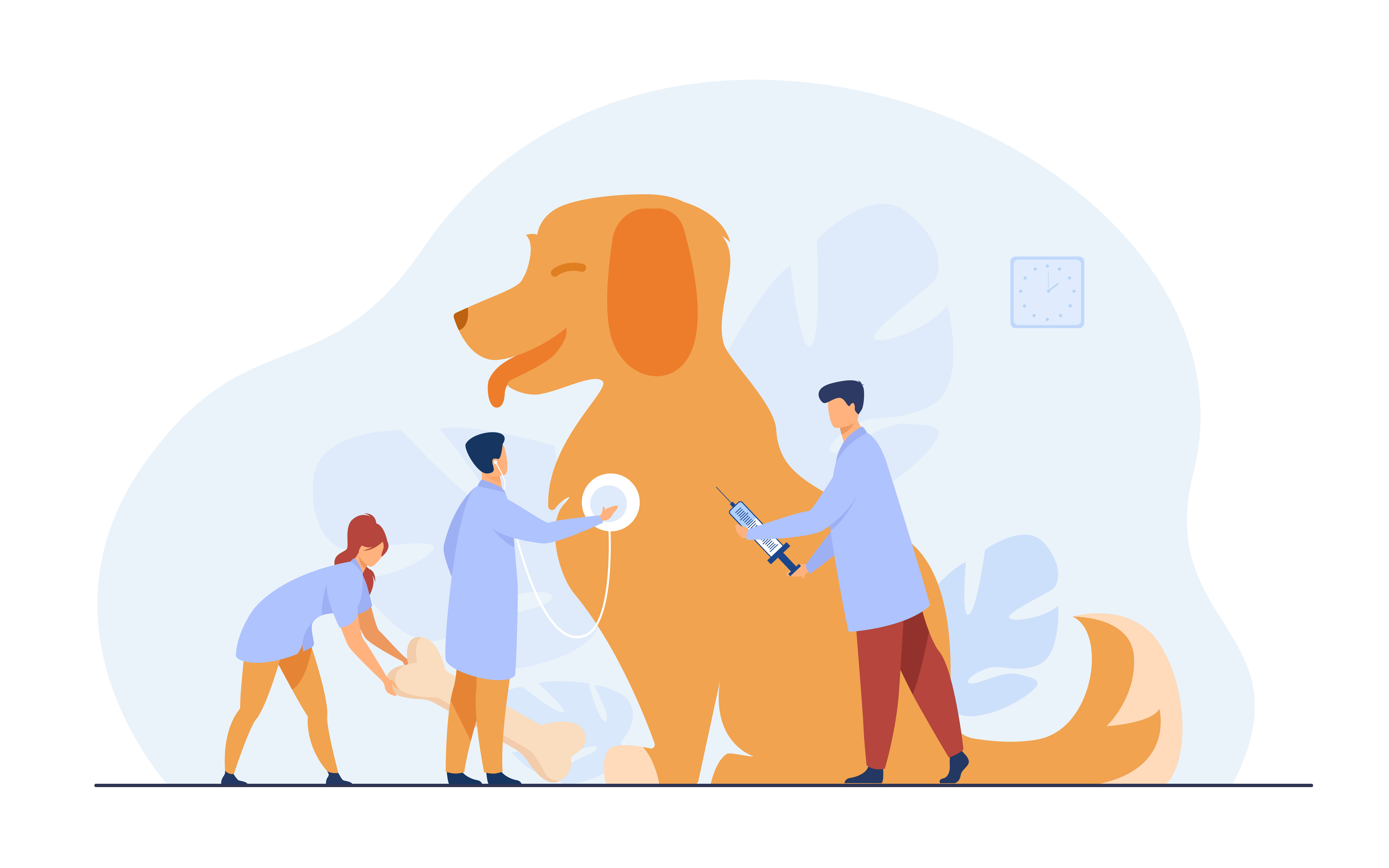 بیمه حیوانات خانگی، حیوانات خانگی، سگ، گربه